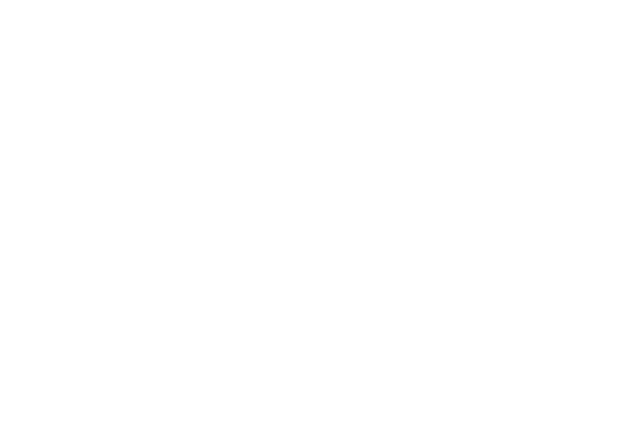 Que Disparo Weddings